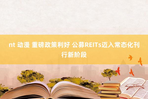 nt 动漫 重磅政策利好 公募REITs迈入常态化刊行新阶段