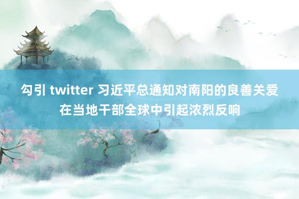 勾引 twitter 习近平总通知对南阳的良善关爱在当地干部全球中引起浓烈反响