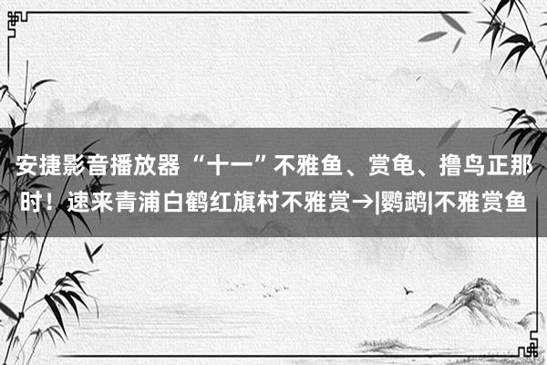 安捷影音播放器 “十一”不雅鱼、赏龟、撸鸟正那时！速来青浦白鹤红旗村不雅赏→|鹦